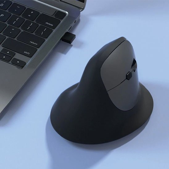 Souris ergonomique 